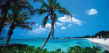 Caribbean